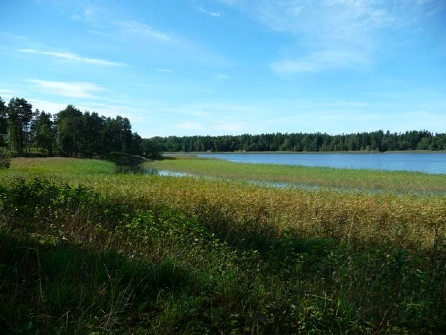 Vassbotten
