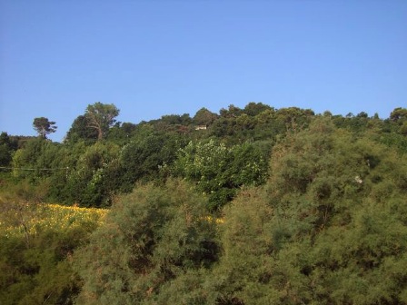 Pavarottis ”hus”