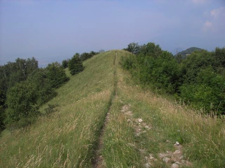 stigen