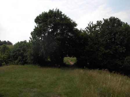 skugghål