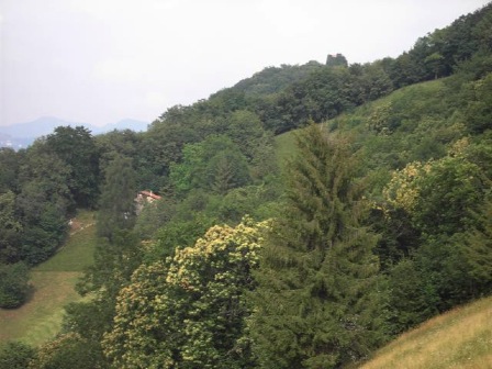 kastanjer 2