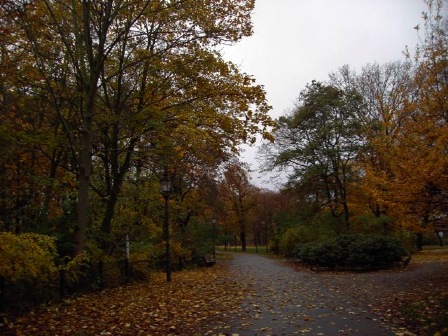park
