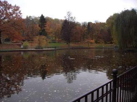 park