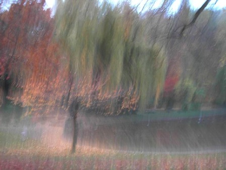 park