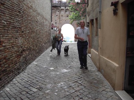 Urbino