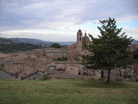 Urbino