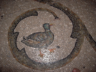 fågel