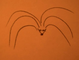 Stachelschwein