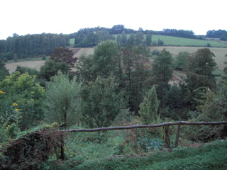 dalen