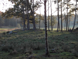 hagen
