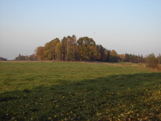 Trädön