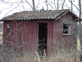 uthus