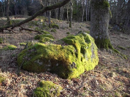 grön 1