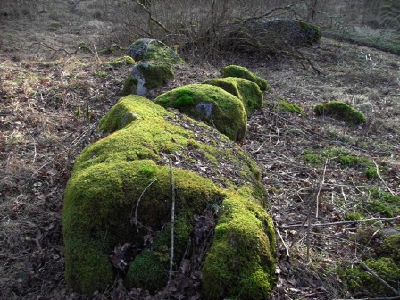 grön 2