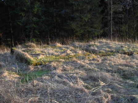 lagårn