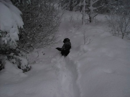 snö