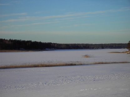 Vassbotten