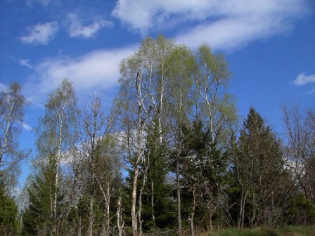 vårhimmel