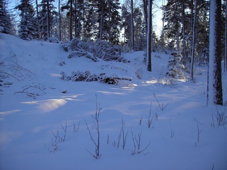 snö