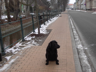 Londi Kanalstraße