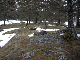 landskap