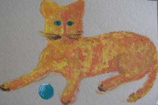 bollkatt