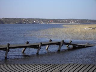 bryggan vass