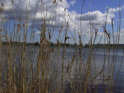 älven