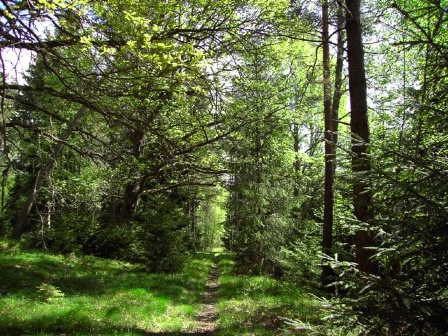landskap