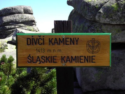 kvinnliga