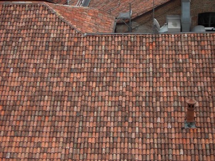 tak i Ferrara