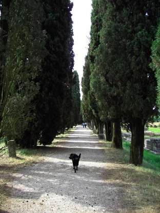 Londi+porto fluviale