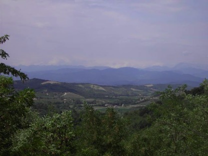 Collio