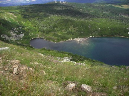 sjö grön