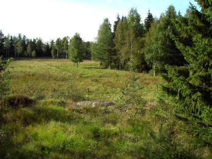 markerna