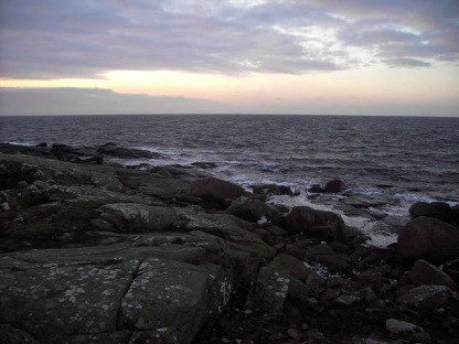mare