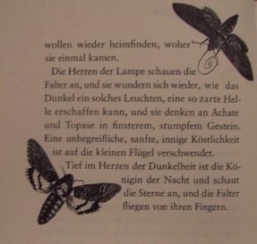 Nachtfalter