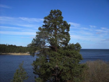 Vänerblick