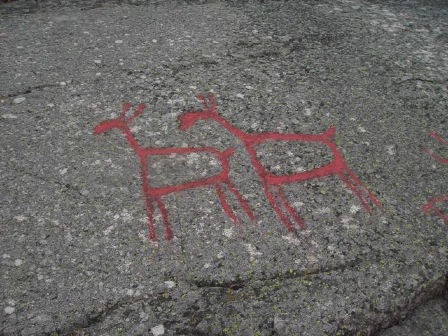 älgar