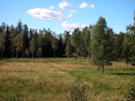 markerna
