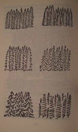 granskog
