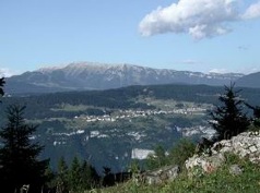 Lusérn
