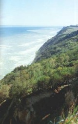 Focara