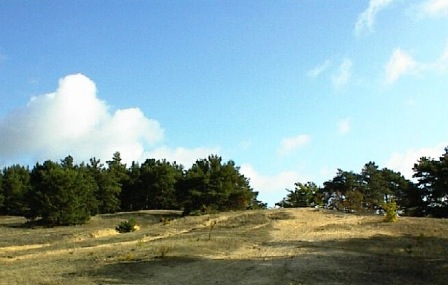 sand